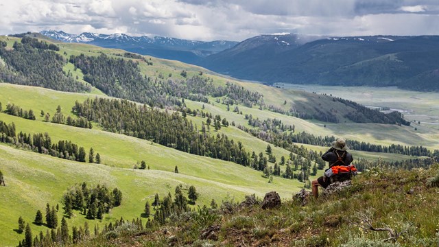 A person looks through binoculars over a grassy valley with large blue mountains in the background.