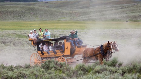 People on a stagecoach ride near the Roosevelt Lodge