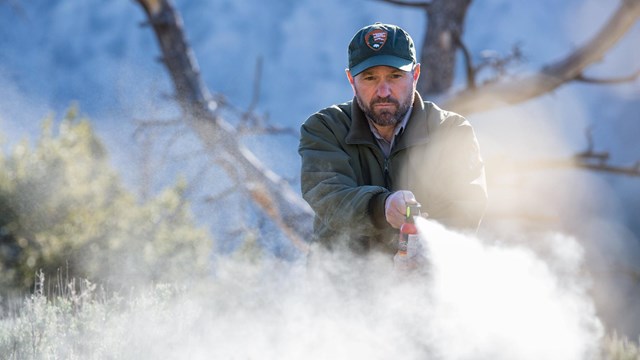 a park ranger spraying bear spray