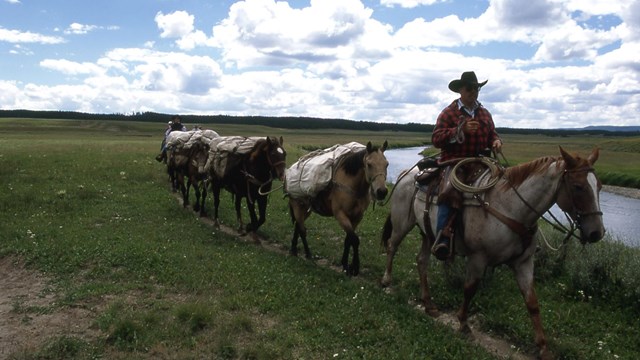 A horseback rider leads a string of horses on a trail.