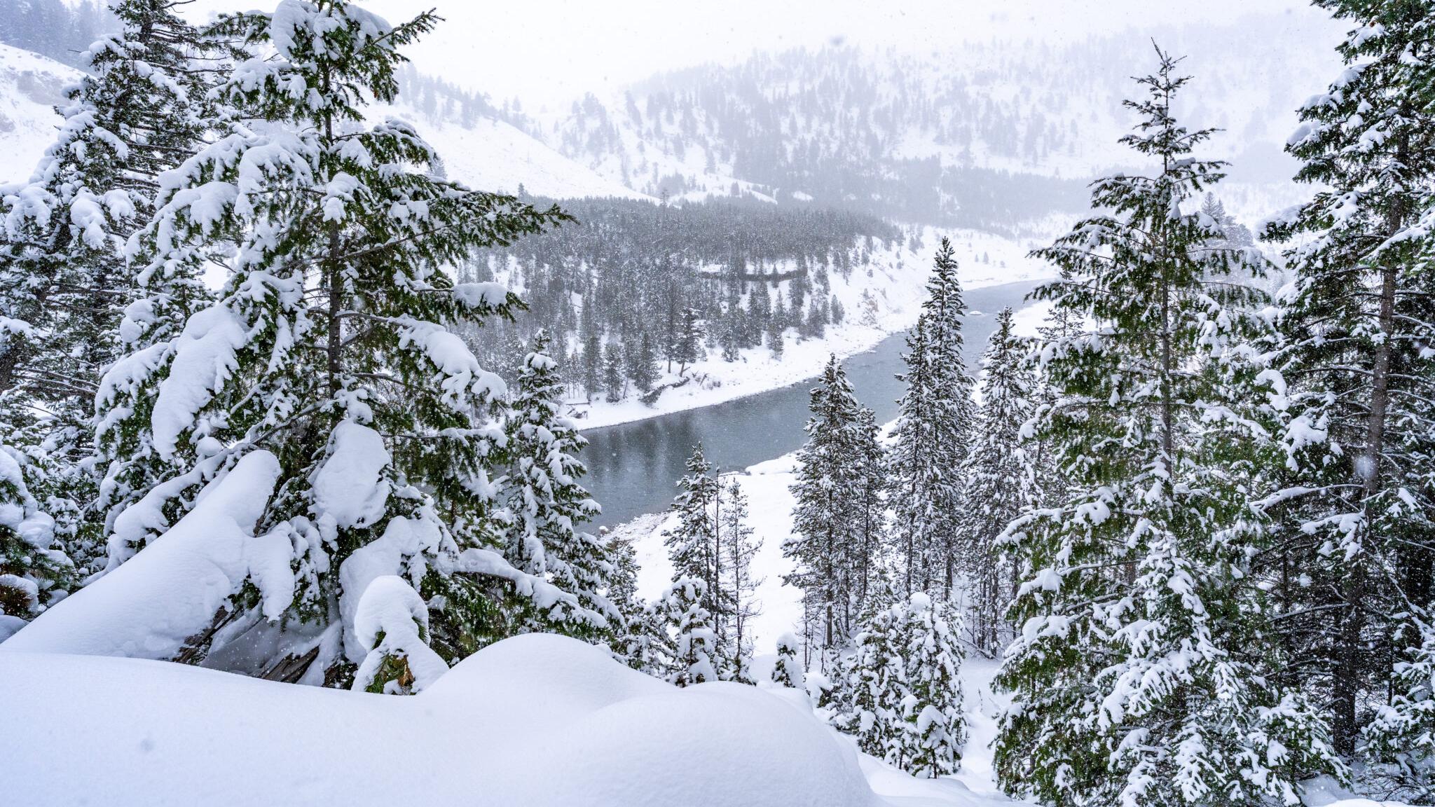 Snow-covered trees frame an icy river below. 