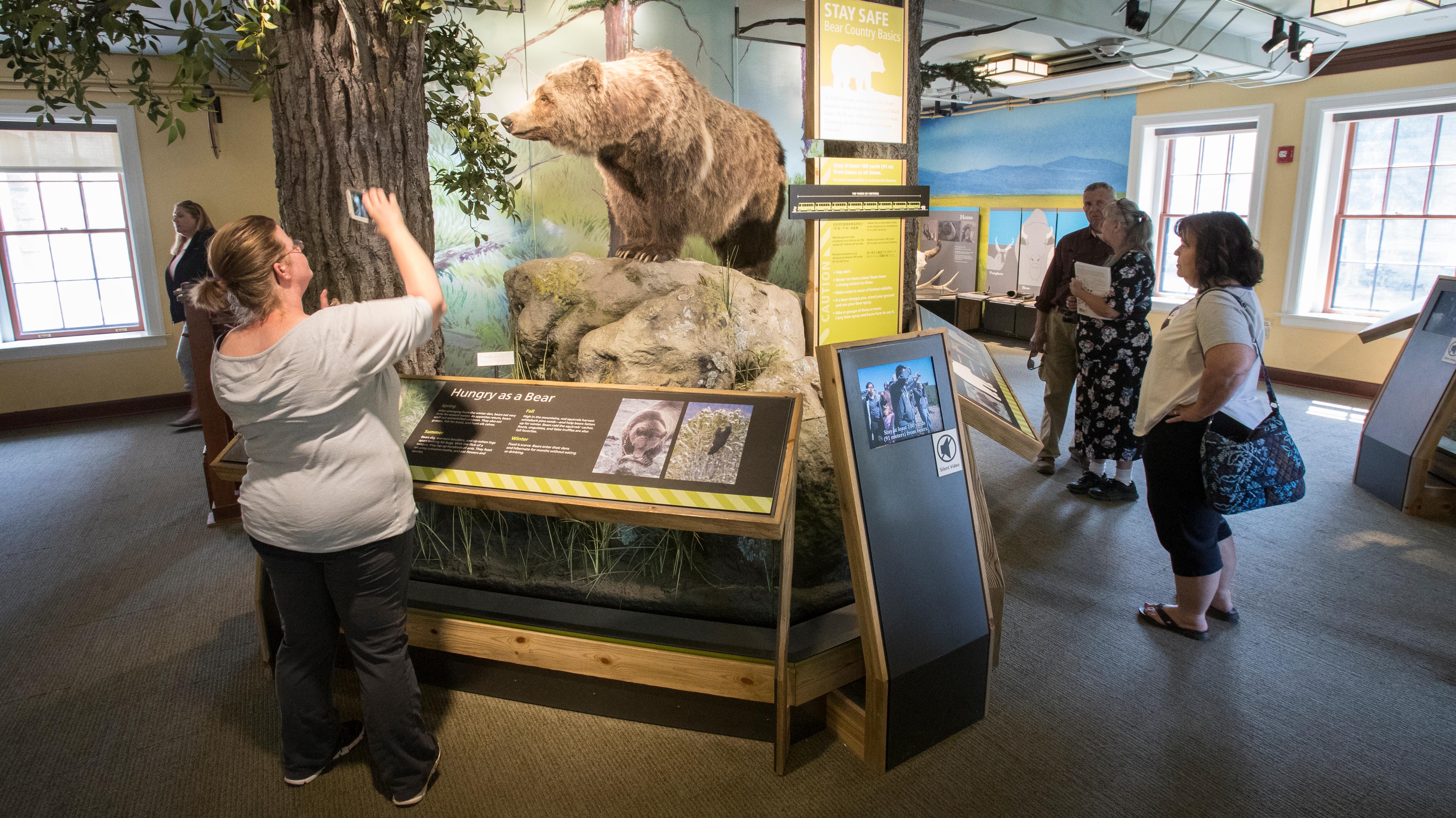 A person photographs an exhibit of a bear while other people examine other exhibits in a room.