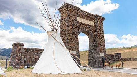 Roosevelt Arch with teepee in front and elk cow and calves on the road