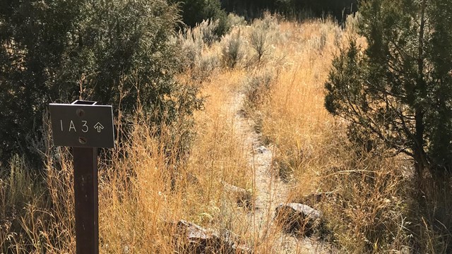 A site next to a bare ground path indicates the location of a backcountry campsite.