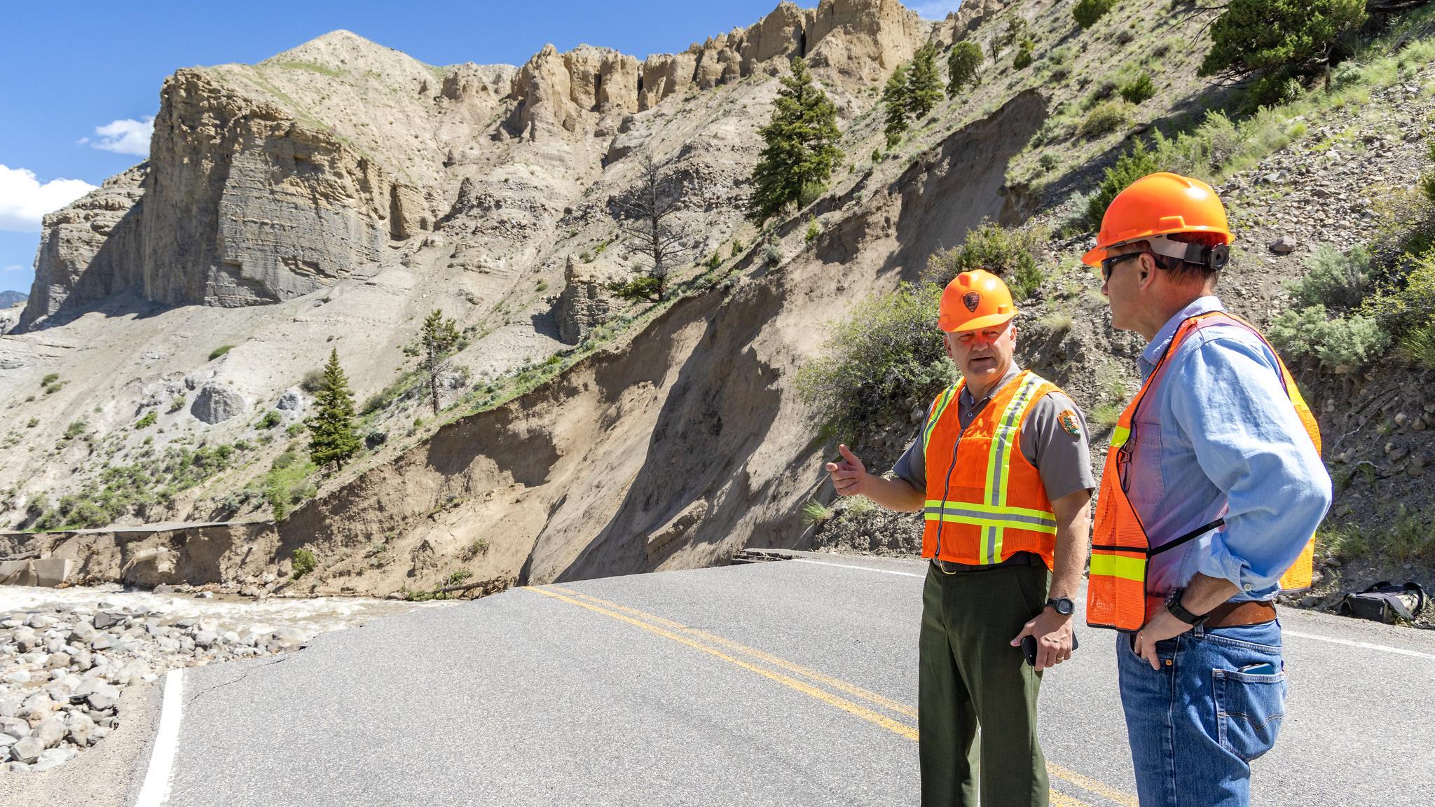 Yellowstone National Park landscape — temperate coniferous forest and geothermal terrain