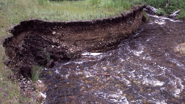 The bank of a stream recently eroded shows past stream deposits.