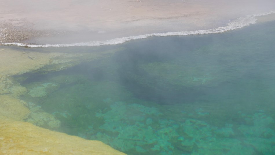 Close-up view of a hot spring with thermophiles growing in it.