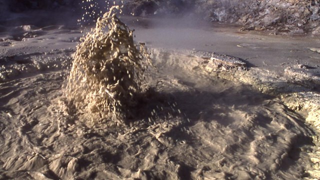 Archaea are found in place like the mudpots of Mud Volcano.