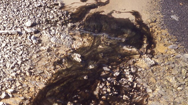 Green colors line a thermal runoff pool.