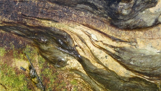 Green and brown bacterial mats growing in runoff water.