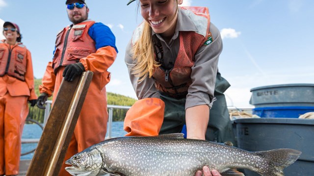 A fish biologist holds a large lake trout in her hands.