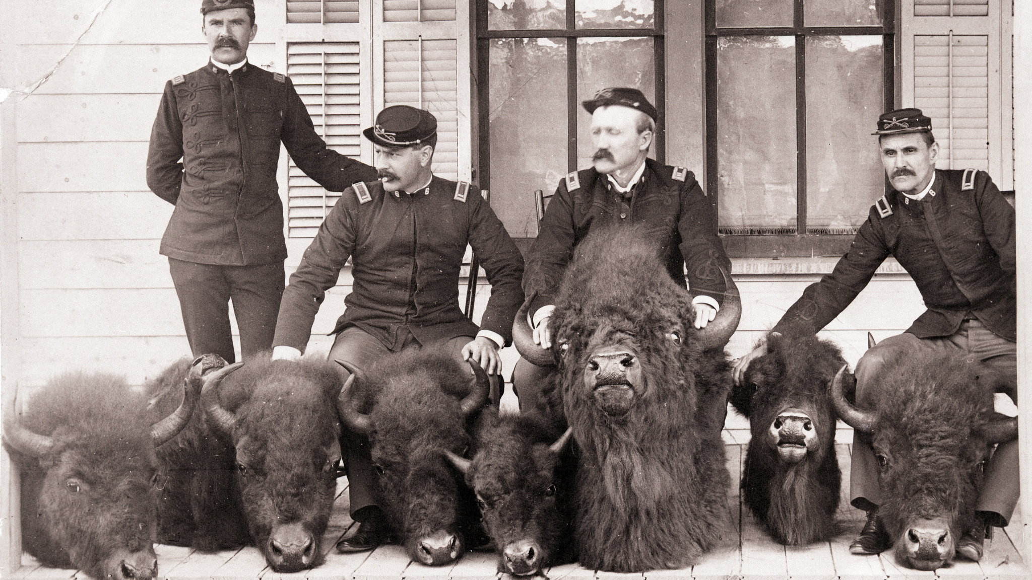 Men in uniform stand above severed bison heads