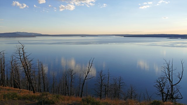 View of a still Yellowstone Lake shortly after sunrise, with the sky shades of blue and yellow.