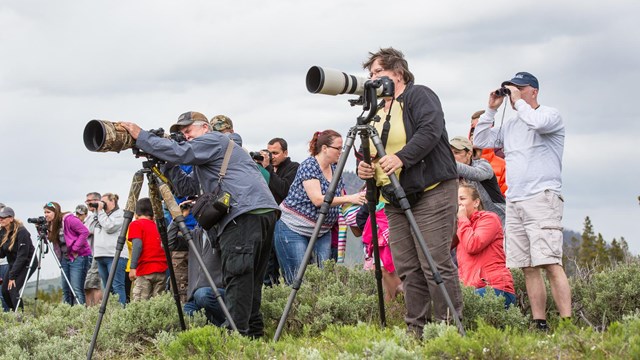 A group of photographers near Mammoth Hot Springs