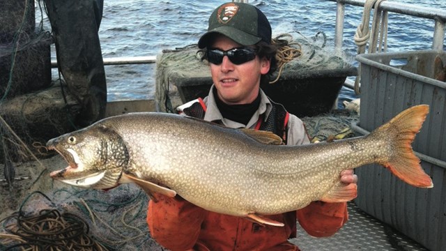Fisheries staff member holds a 36-pound spawning lake trout removed from Yellowstone Lake.