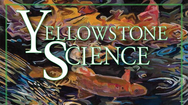 The cover of an issue of Yellowstone Science