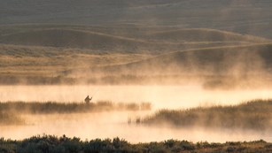 Angler fishing in Yellowstone during a golden morning.