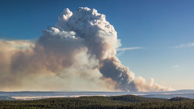 A smoke plume from a wildfire billows up into the sky, reducing the air quality.