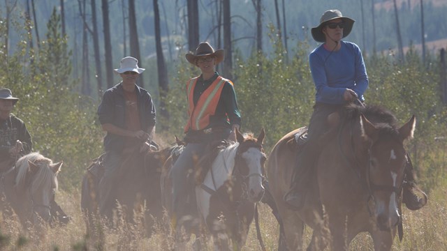 Riders on horseback travel through a dusty field.