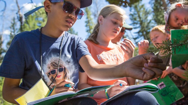 Kids working on an activity out in the woods.