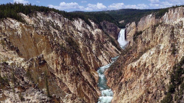 Lower Falls plunges into the yellowish-tan canyon.