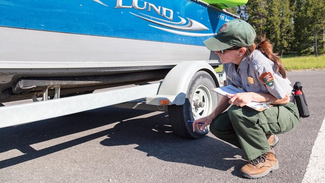 A park ranger with a ponytail inspects a boat on a trailer.