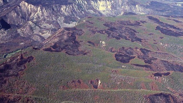 A burn mosaic shows a patchwork of fire scars and unburned forest.