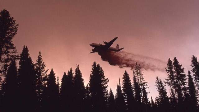 A plane drops water on a burning forest during the 1988 fires.