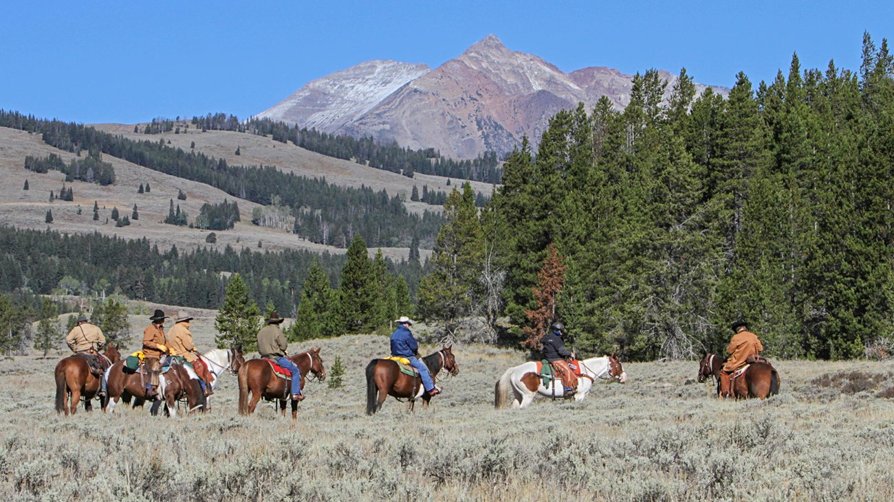 Horseback riders in Yellowstone