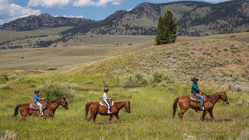 Horseback Riding Near Cody Wy - A Day Spent In Cody Wyoming Horse Riding Holidays And Safaris : Maybe you would like to learn more about one of these?