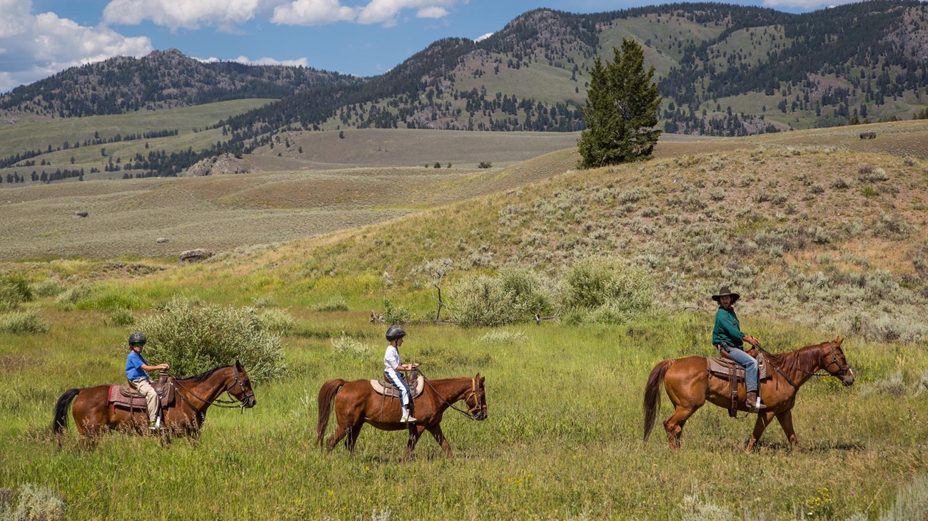 Three horseback riders travel across a rolling prairie.