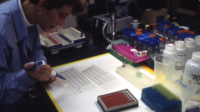 Researcher working with a pipette in the lab.