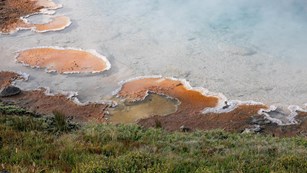Grasses and other plants next to orange sinter formation around Silex Spring