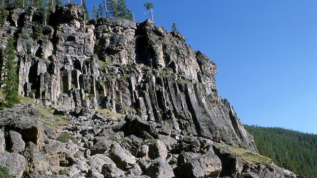 Columns of basalt form a tree-topped cliff.