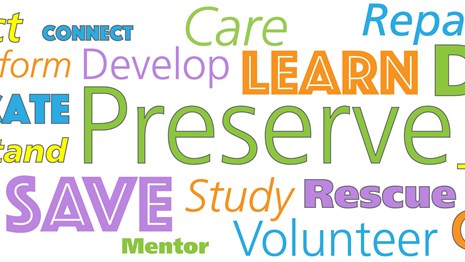 Words like Preserve, Study, Learn, Develop, and Care in bright greens, oranges, blues, and purples.