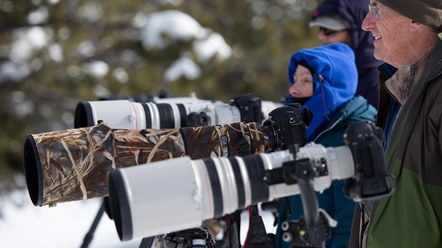 Photographers stands next to a row of cameras set up on tripods.