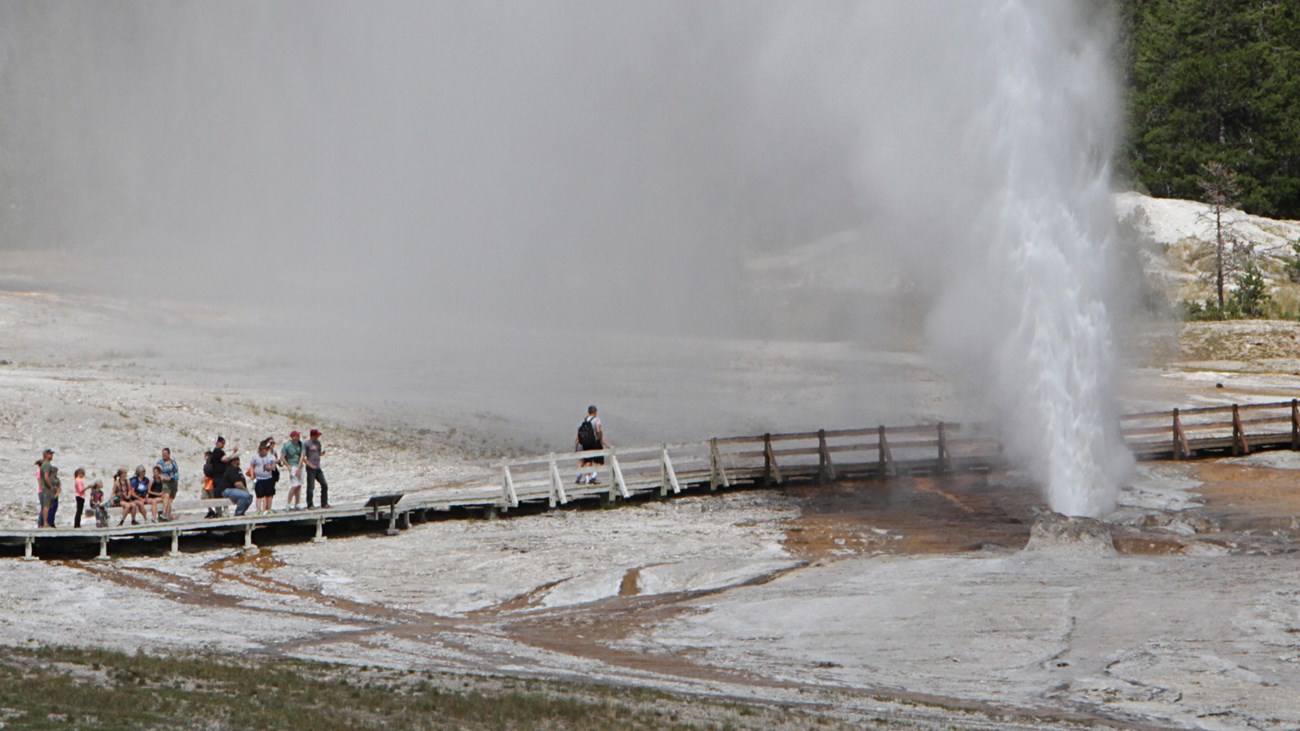 Visitors watching a geyser erupt water and steam into the area from the safety of the boardwalk.