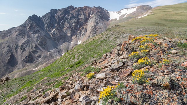 Alpine views on the north Side of Electric Peak