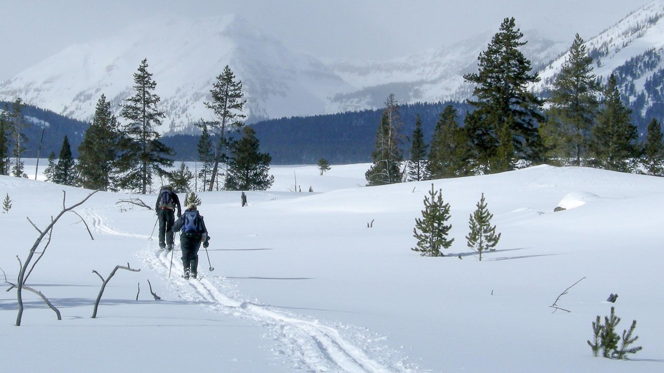 Skiers crossing a snowy field with mountains in the background.