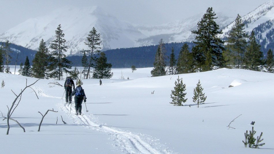 Ski and Snowshoe Yellowstone National Park (U.S. National Park Service)