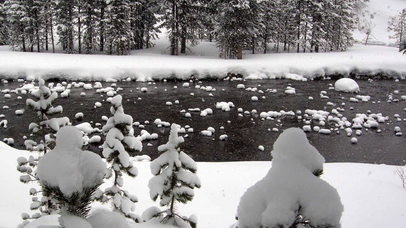 River flowing through a wintery forest scene covered in snow.