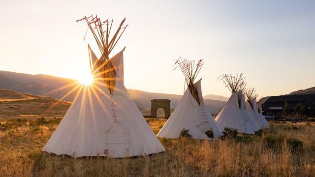 a row of white teepees at sunset