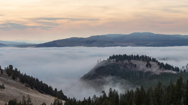 Fog fills a river valley in a landscape