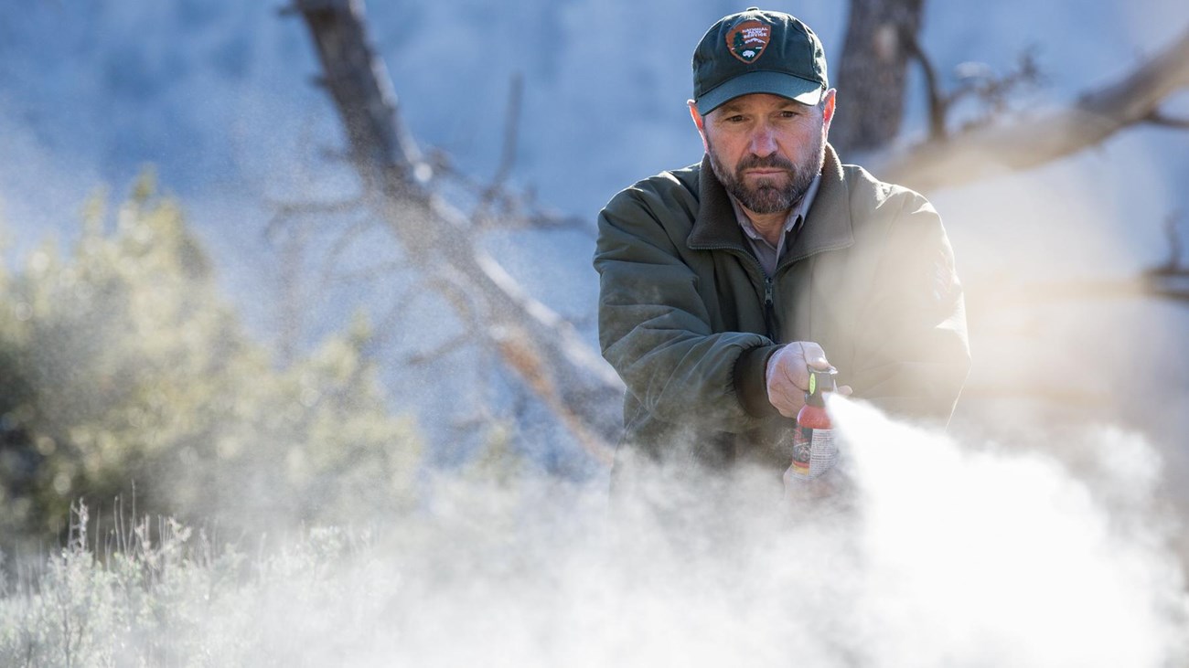 Photo of ranger deploying bear spray.