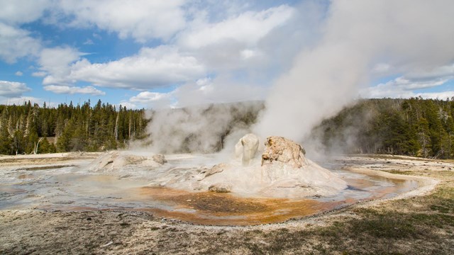 Photo of Grotto Geyser in the Upper Geyser Basin