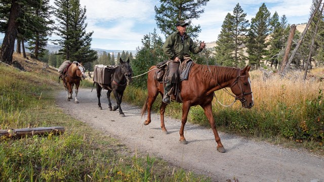 A ranger riding a horse leads two other horses down a bare ground trail.
