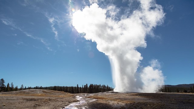 A tall geyser erupts in the afternoon sun.
