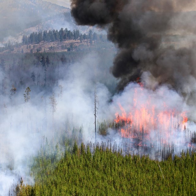 Aerial view of the Maple Fire, August 16, 2015