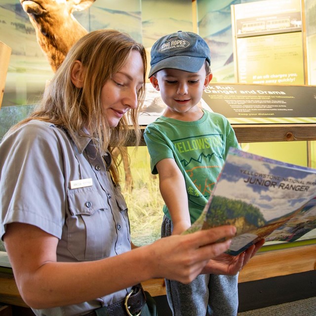 Become a junior ranger of Yellowstone National Park.