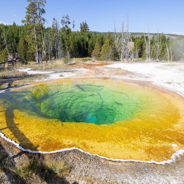 A deep blue, yellow, and green hot spring.